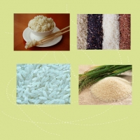 Rice