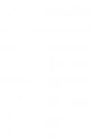 The Truth About Veterinary Hospitals