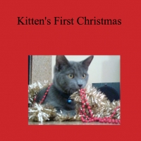 Kittens First Christmas