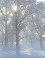 Winter Light