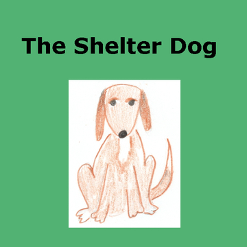 The Shelter Dog