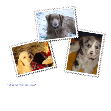 Pictures of Dogs