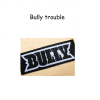 Bully Trouble