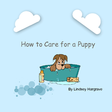 How to Take Care of Your New Puppy