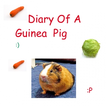 Diary Of A Guinea Pig
