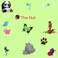 The Nut