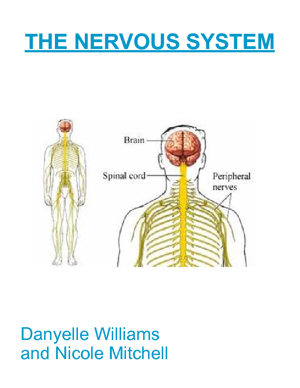 The Nervous System - Learning About the Nervous System | Book 203763