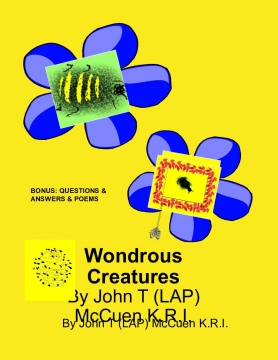 Wondrous Creatures