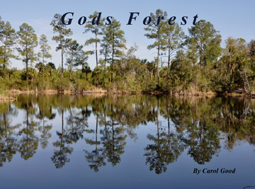 Gods Forest