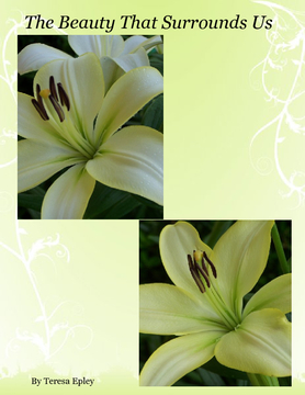 The Beauty That Surrounds Us