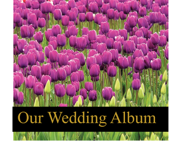 Our Wedding Album