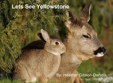 Lets See Yellowstone!