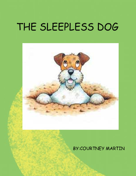 THE SLEEPLESS DOG