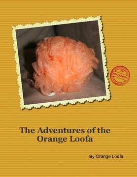 A Year in the Life of Orange Loofa