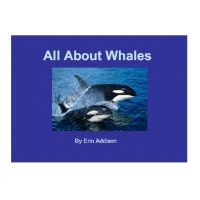 All About Whales