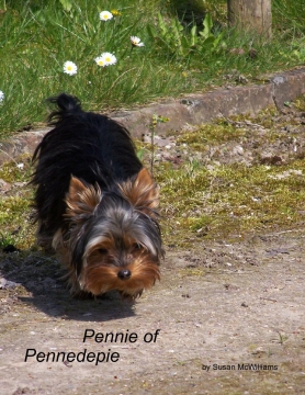 Pennie of Pennedepie