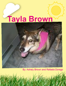 Tayla