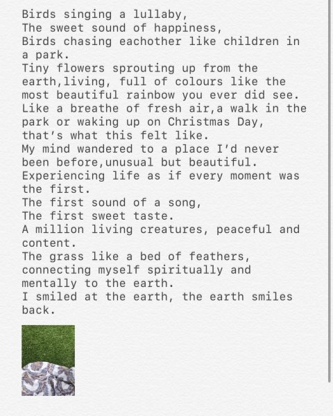 Book Page