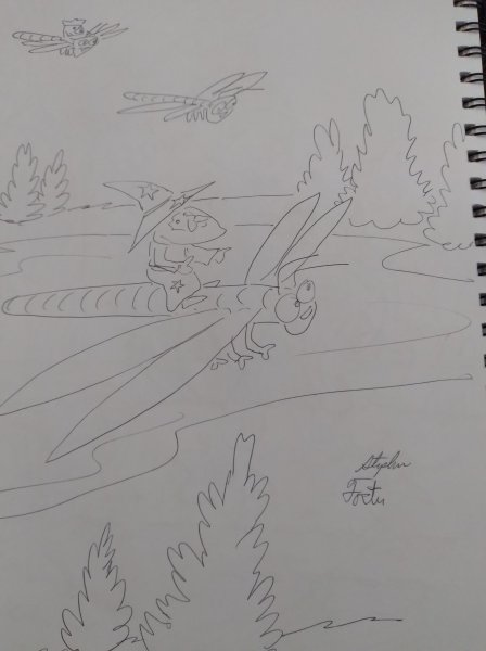 Book Page