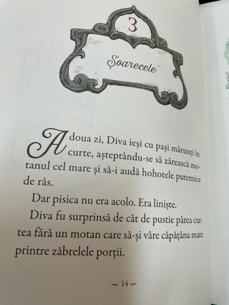 Book Page