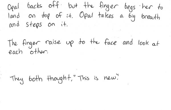 Book Page