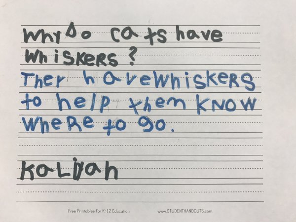 Book Page