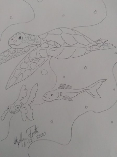 Book Page