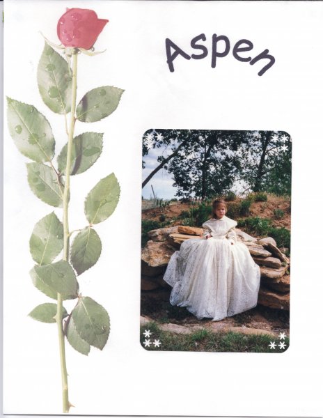 Book Page
