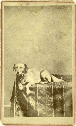 Book Page