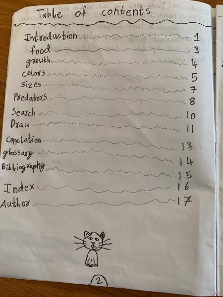 Book Page