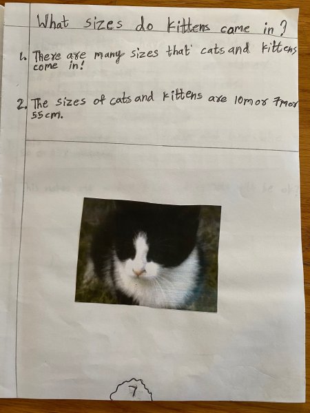 Book Page
