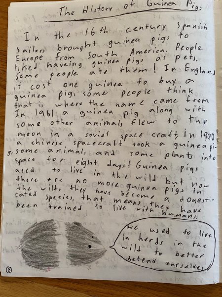 Book Page