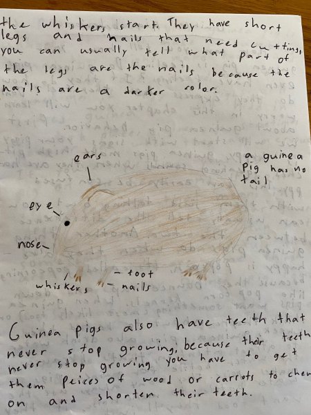 Book Page