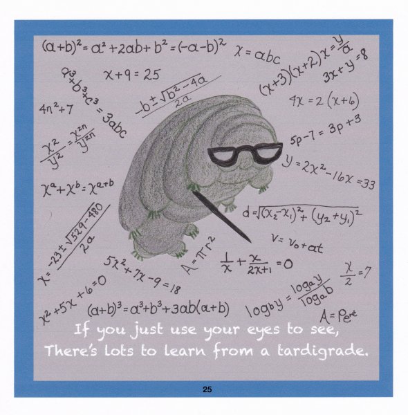Book Page