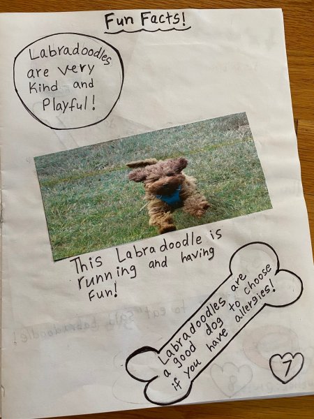 Book Page