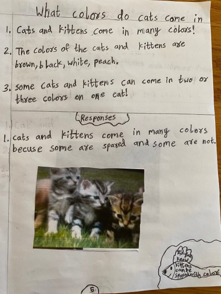 Book Page