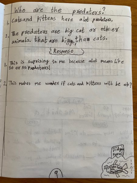 Book Page