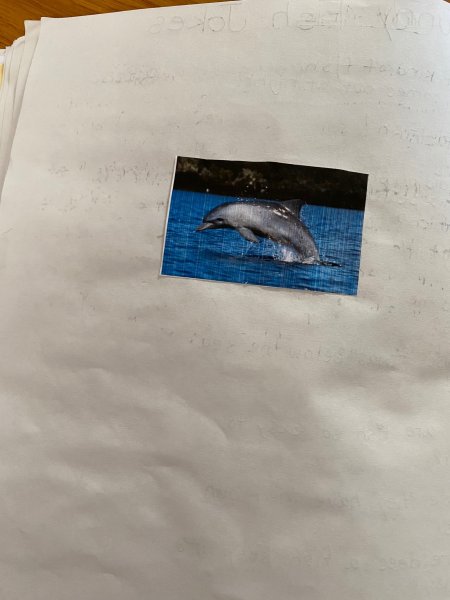 Book Page