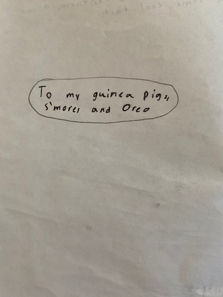Book Page