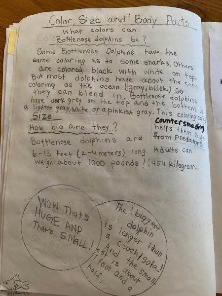 Book Page