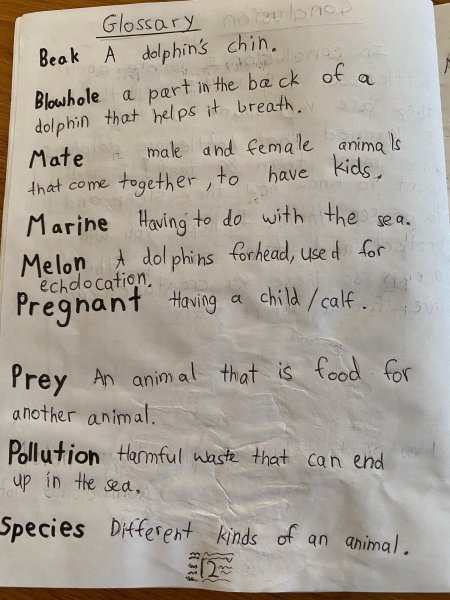 Book Page