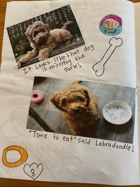 Book Page
