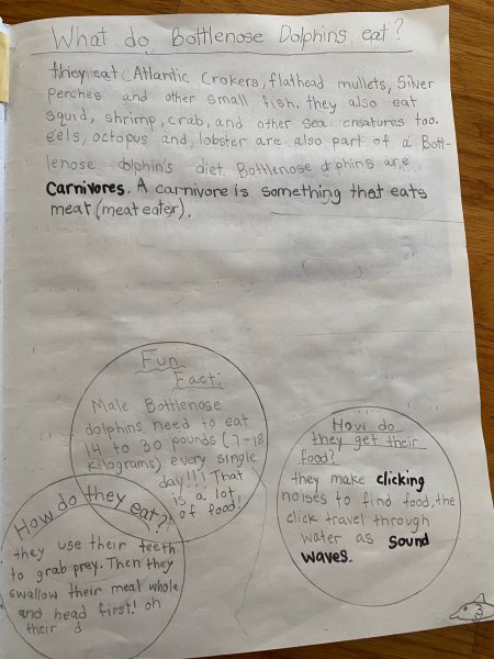 Book Page