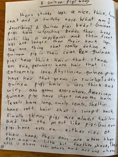 Book Page