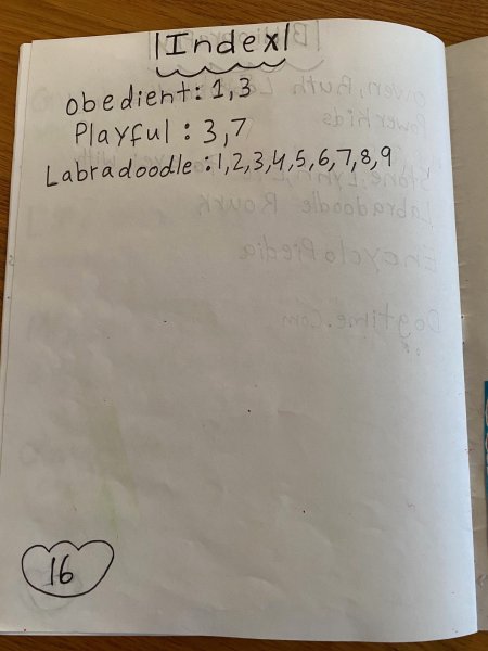 Book Page