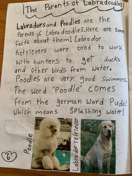 Book Page