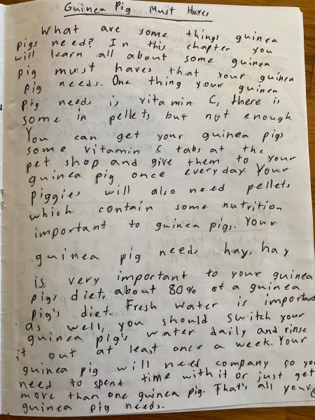 Book Page