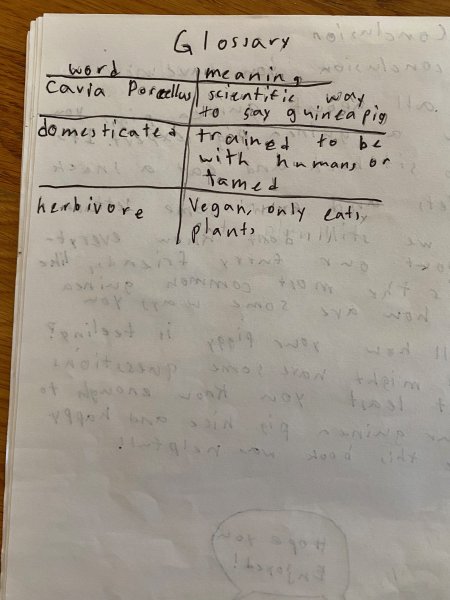 Book Page