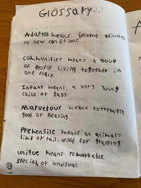 Book Page