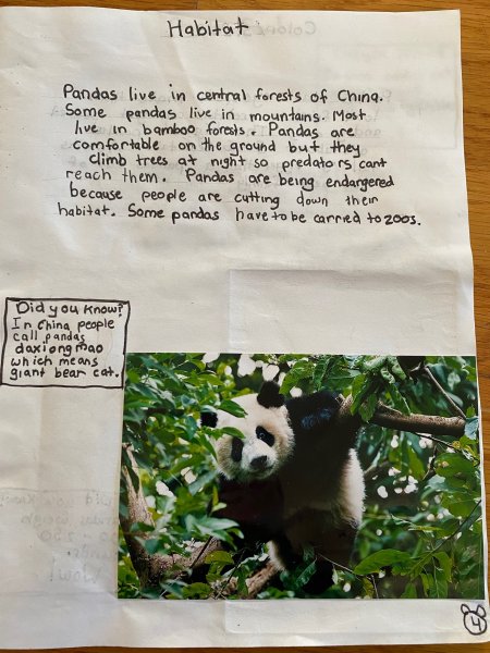 Book Page
